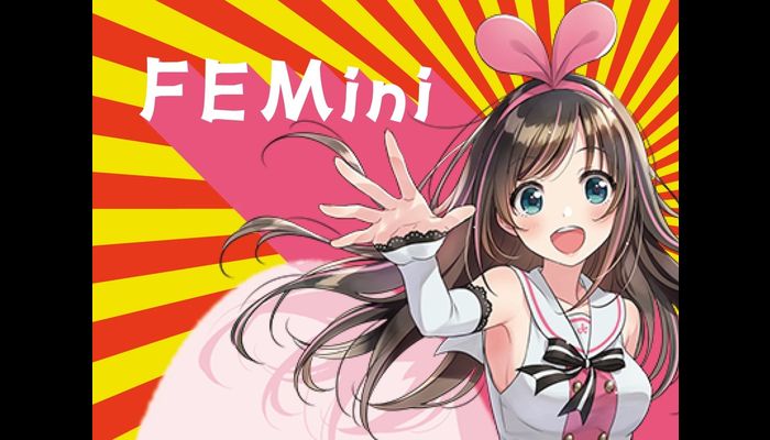 FEMini